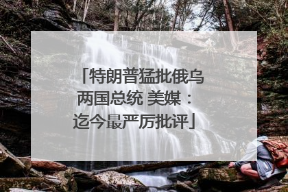 特朗普猛批俄乌两国总统 美媒：迄今最严厉批评
