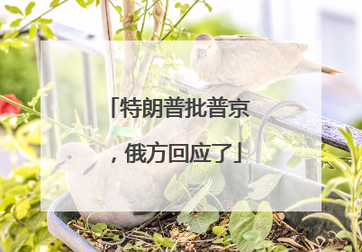 特朗普批普京，俄方回应了