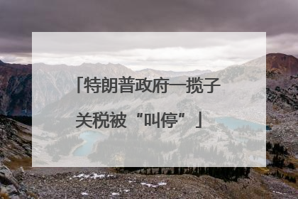 特朗普政府一揽子关税被“叫停”