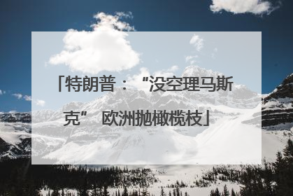 特朗普：“没空理马斯克” 欧洲抛橄榄枝