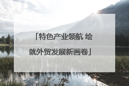 特色产业领航 绘就外贸发展新画卷