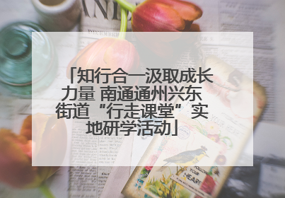知行合一汲取成长力量 南通通州兴东街道“行走课堂”实地研学活动