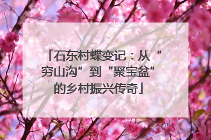 石东村蝶变记：从“穷山沟”到“聚宝盆”的乡村振兴传奇