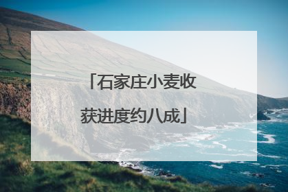 石家庄小麦收获进度约八成