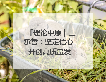 理论中原｜王承哲：坚定信心 开创高质量发展新局面