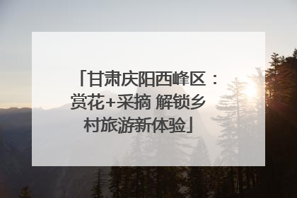 甘肃庆阳西峰区：赏花+采摘 解锁乡村旅游新体验