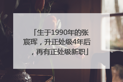 生于1990年的张宸珲，升正处级4年后，再有正处级新职