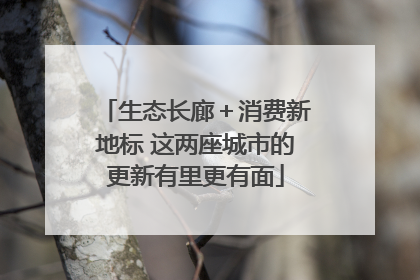 生态长廊＋消费新地标 这两座城市的更新有里更有面