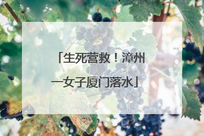 生死营救！漳州一女子厦门落水