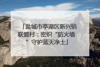 盐城市亭湖区新兴镇联盟村：密织“防火墙”守护蓝天净土