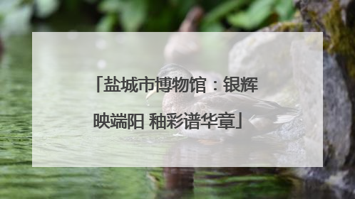 盐城市博物馆：银辉映端阳 釉彩谱华章