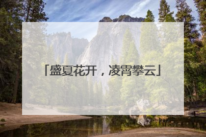 盛夏花开，凌霄攀云