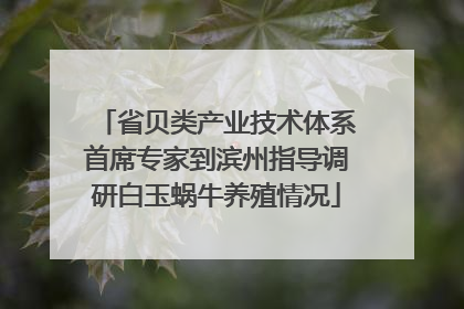 省贝类产业技术体系首席专家到滨州指导调研白玉蜗牛养殖情况