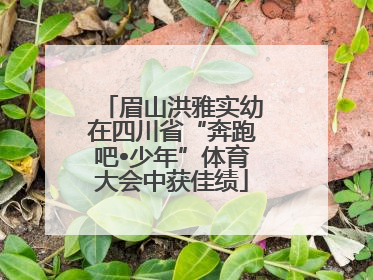 眉山洪雅实幼在四川省“奔跑吧•少年”体育大会中获佳绩