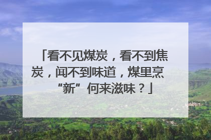 看不见煤炭，看不到焦炭，闻不到味道，煤里烹“新”何来滋味？