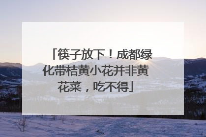 筷子放下！成都绿化带桔黄小花并非黄花菜，吃不得