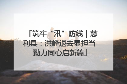 筑牢“汛”防线｜慈利县：洪峰退去显担当 勠力同心启新篇