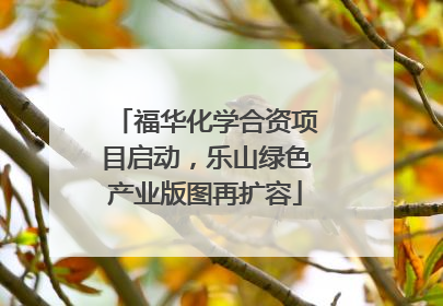 福华化学合资项目启动，乐山绿色产业版图再扩容
