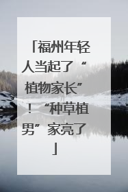 福州年轻人当起了“植物家长”！“种草植男”家亮了