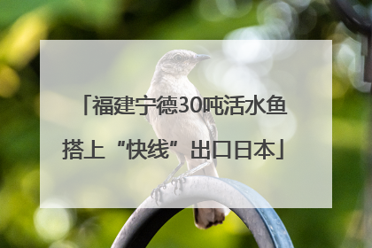 福建宁德30吨活水鱼搭上“快线”出口日本