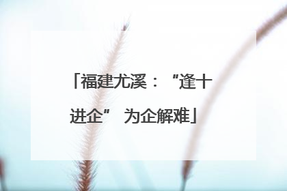 福建尤溪：“逢十进企” 为企解难