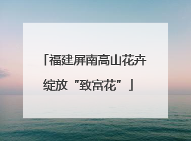 福建屏南高山花卉绽放“致富花”