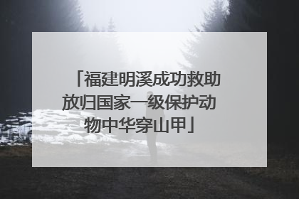 福建明溪成功救助放归国家一级保护动物中华穿山甲