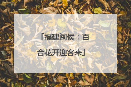 福建闽侯：百合花开迎客来