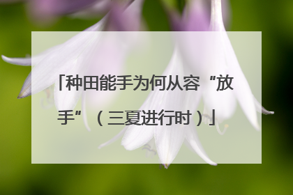 种田能手为何从容“放手”（三夏进行时）
