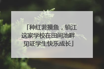 种红薯摸鱼，镇江这家学校在田间池畔见证学生快乐成长