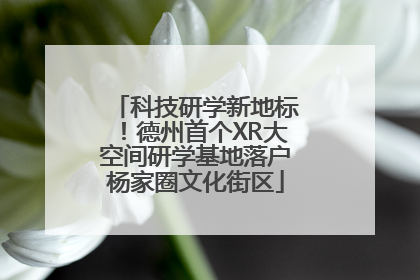 科技研学新地标！德州首个XR大空间研学基地落户杨家圈文化街区