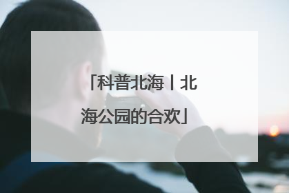 科普北海丨北海公园的合欢