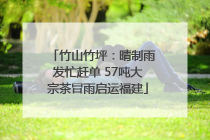 竹山竹坪：晴制雨发忙赶单 57吨大宗茶冒雨启运福建