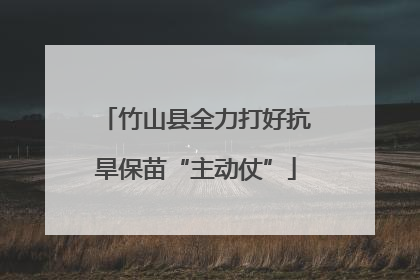 竹山县全力打好抗旱保苗“主动仗”