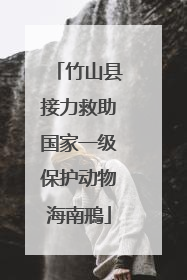 竹山县接力救助国家一级保护动物海南鳽