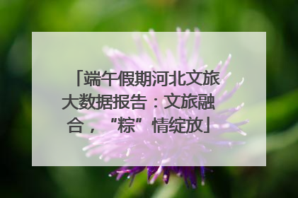 端午假期河北文旅大数据报告：文旅融合，“粽”情绽放