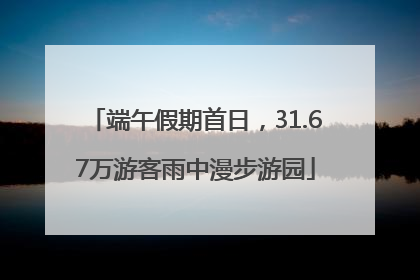 端午假期首日，31.67万游客雨中漫步游园