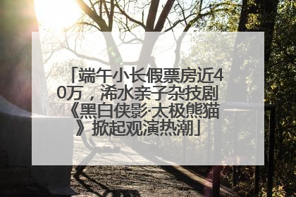 端午小长假票房近40万，浠水亲子杂技剧《黑白侠影·太极熊猫》掀起观演热潮