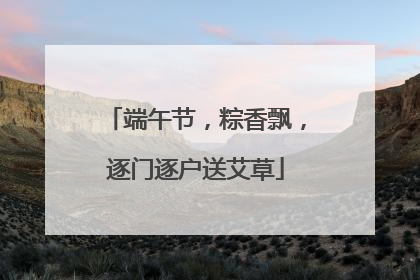 端午节，粽香飘，逐门逐户送艾草