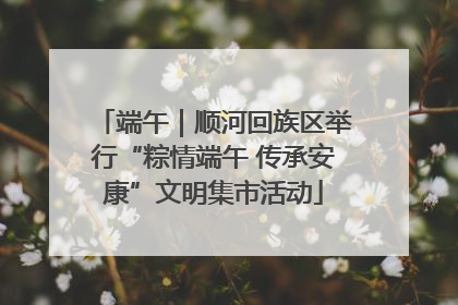 端午｜顺河回族区举行“粽情端午 传承安康”文明集市活动