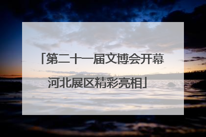 第二十一届文博会开幕 河北展区精彩亮相