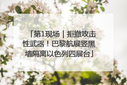 第1现场｜拒撤攻击性武器！巴黎航展竖黑墙隔离以色列四展台