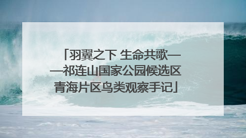 羽翼之下 生命共歌——祁连山国家公园候选区青海片区鸟类观察手记