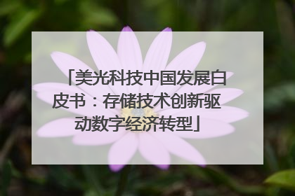 美光科技中国发展白皮书：存储技术创新驱动数字经济转型