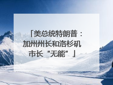 美总统特朗普：加州州长和洛杉矶市长“无能”