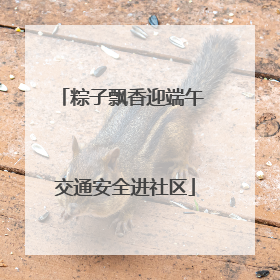 粽子飘香迎端午 交通安全进社区