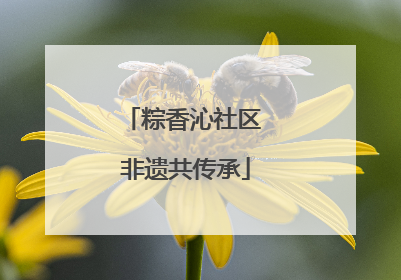 粽香沁社区 非遗共传承