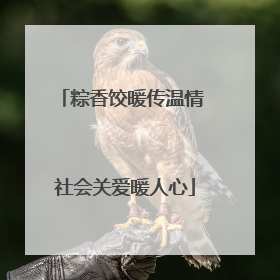 粽香饺暖传温情 社会关爱暖人心