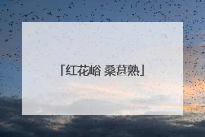红花峪 桑葚熟