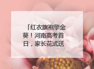 红衣旗袍擎金葵！河南高考首日，家长花式送考藏满爱与盼